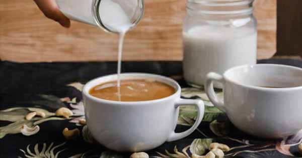 Cashew Milk - Susu Untuk Campuran Kopi